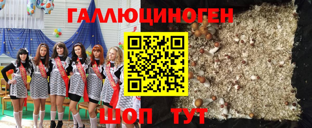 Сызрань  Галлюциногенные грибы Magic Shrooms  Вход с VPN 